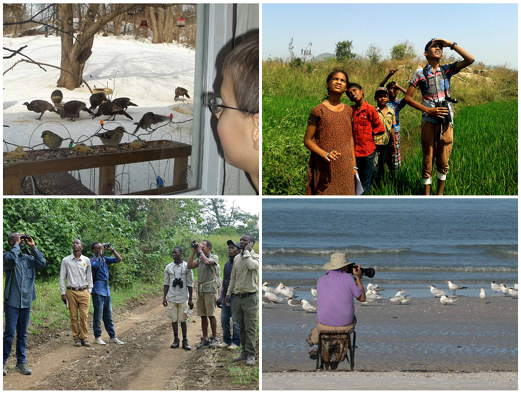 People from around the world birding.