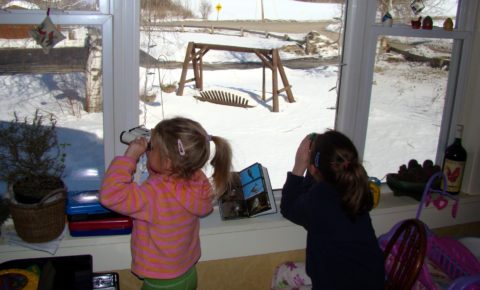 Children birding at window