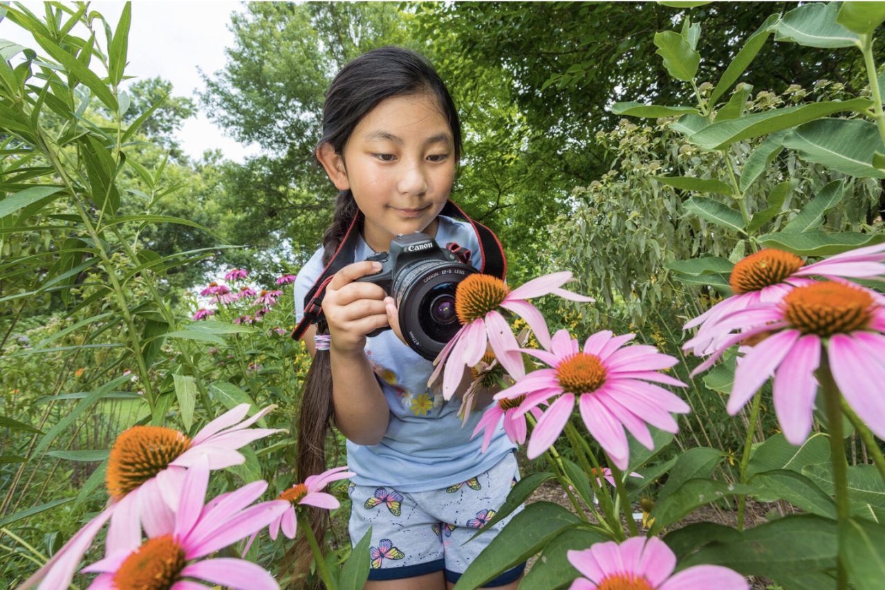 Girl photographing purple cone flower