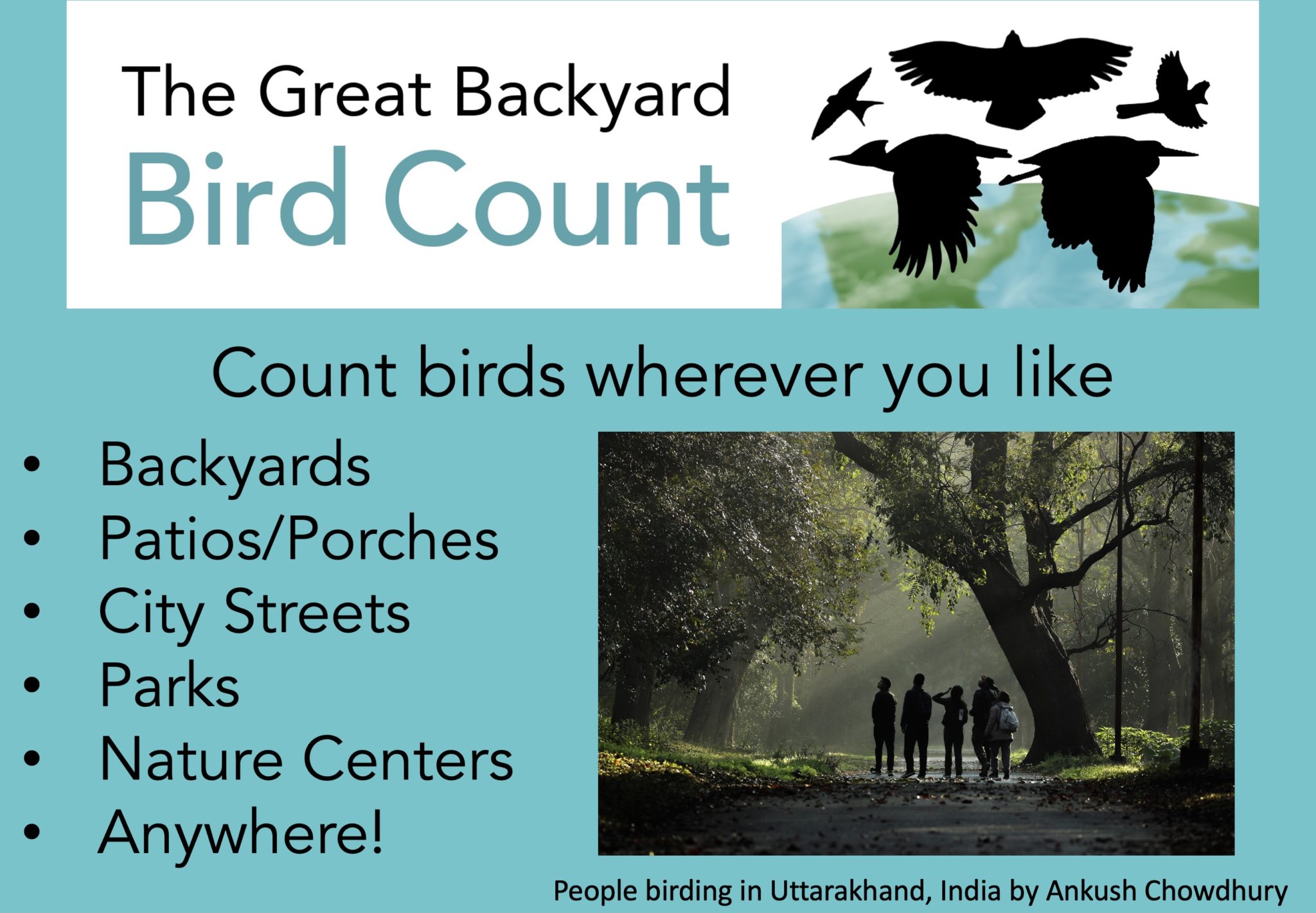 Slideshow Great Backyard Bird Count