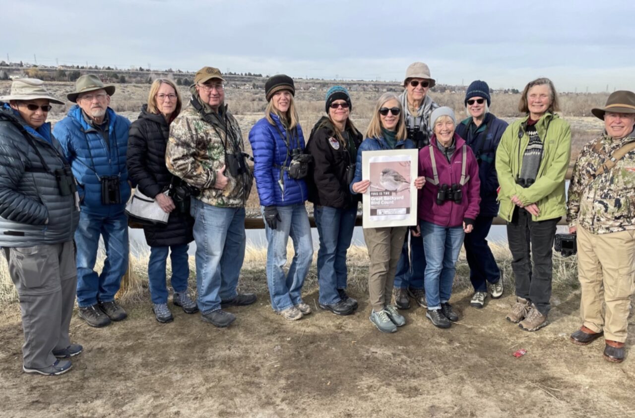 Birding in the United States
