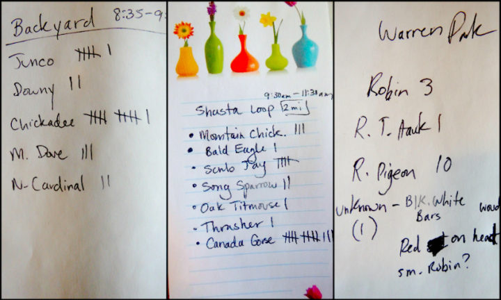 Three different birdlists