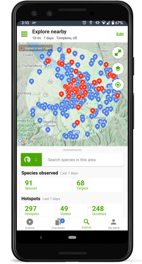 eBird Explore