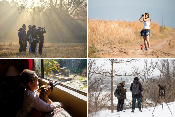 Various people birding around the world.