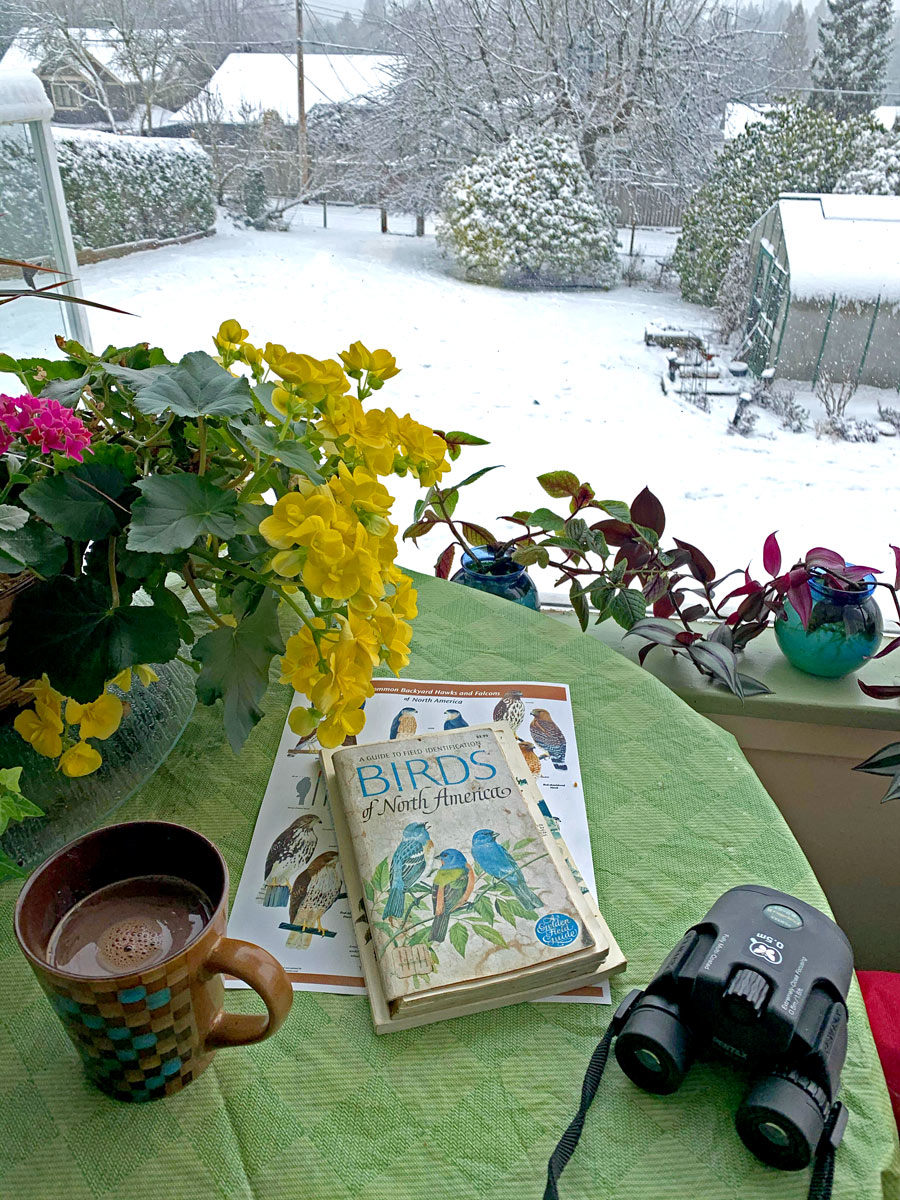 Birdwatching by a window. Photo by Denise Bemister/GBBC.