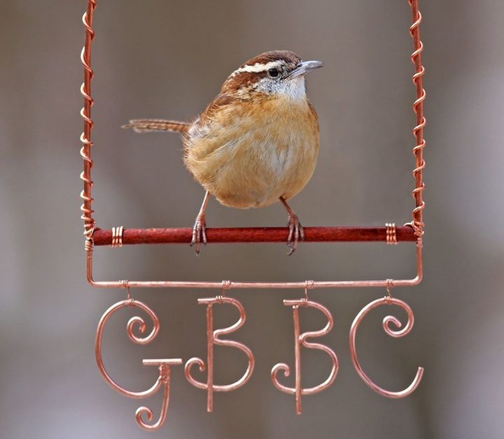 Carolina Wren on a decorative metal wire sign for GBBC.