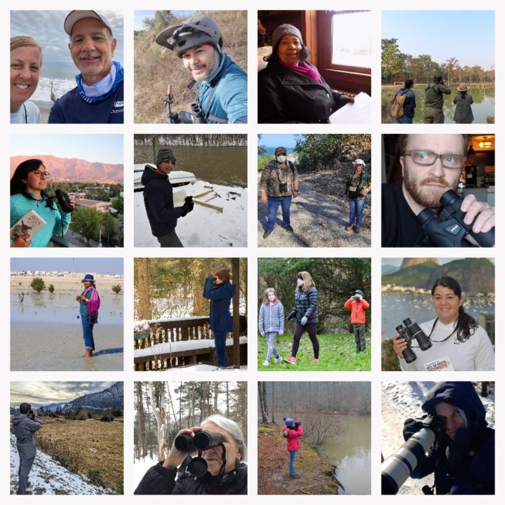 People around the world who participated in GBBC.