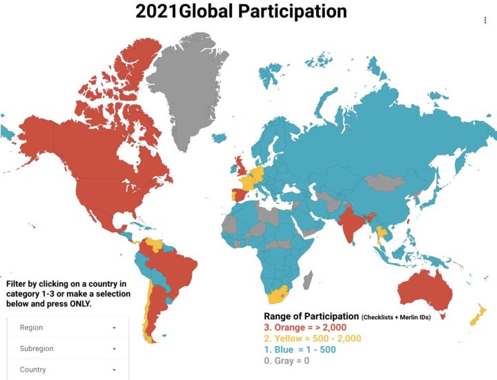 Graph of the world and color participation by country.