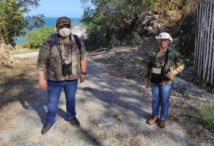Birding in Mexico.