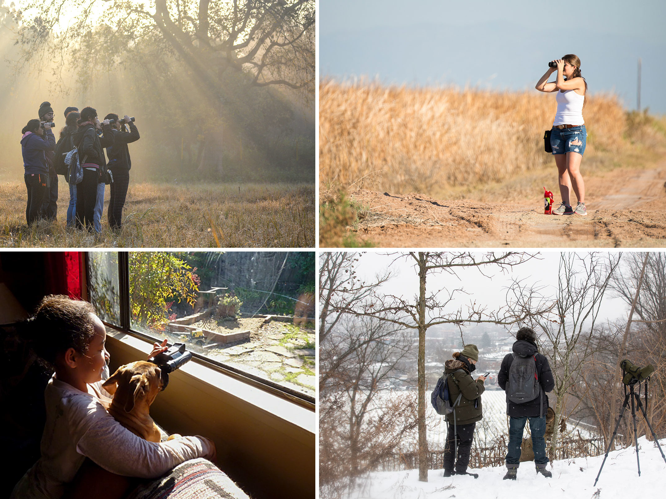 Various people birding around the world.