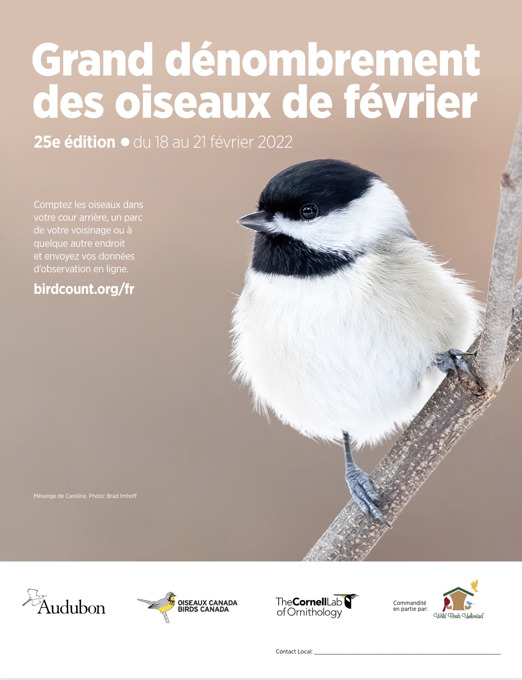 Affiches Le Grand Denombrement Des Oiseaux De Fevrier