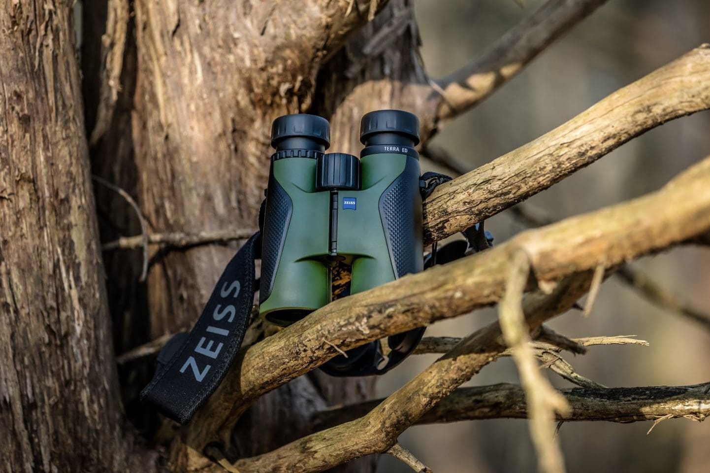 green Zeiss binoculars, propped in a tree