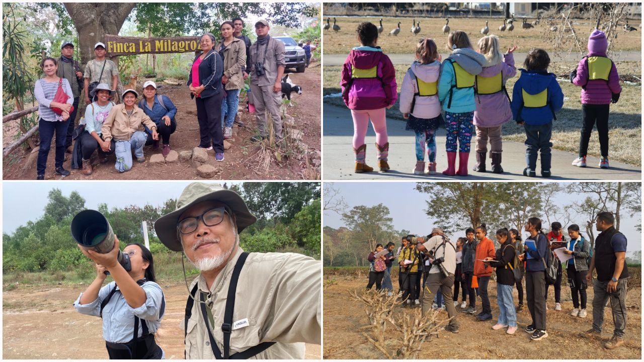 People around the world birding