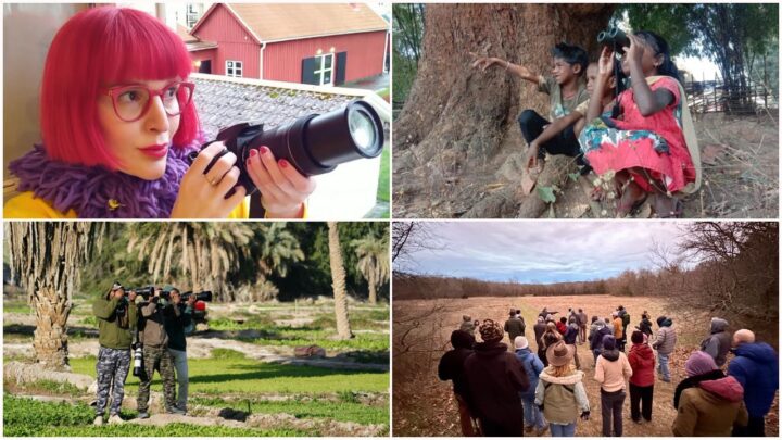 Birding is for anyone.