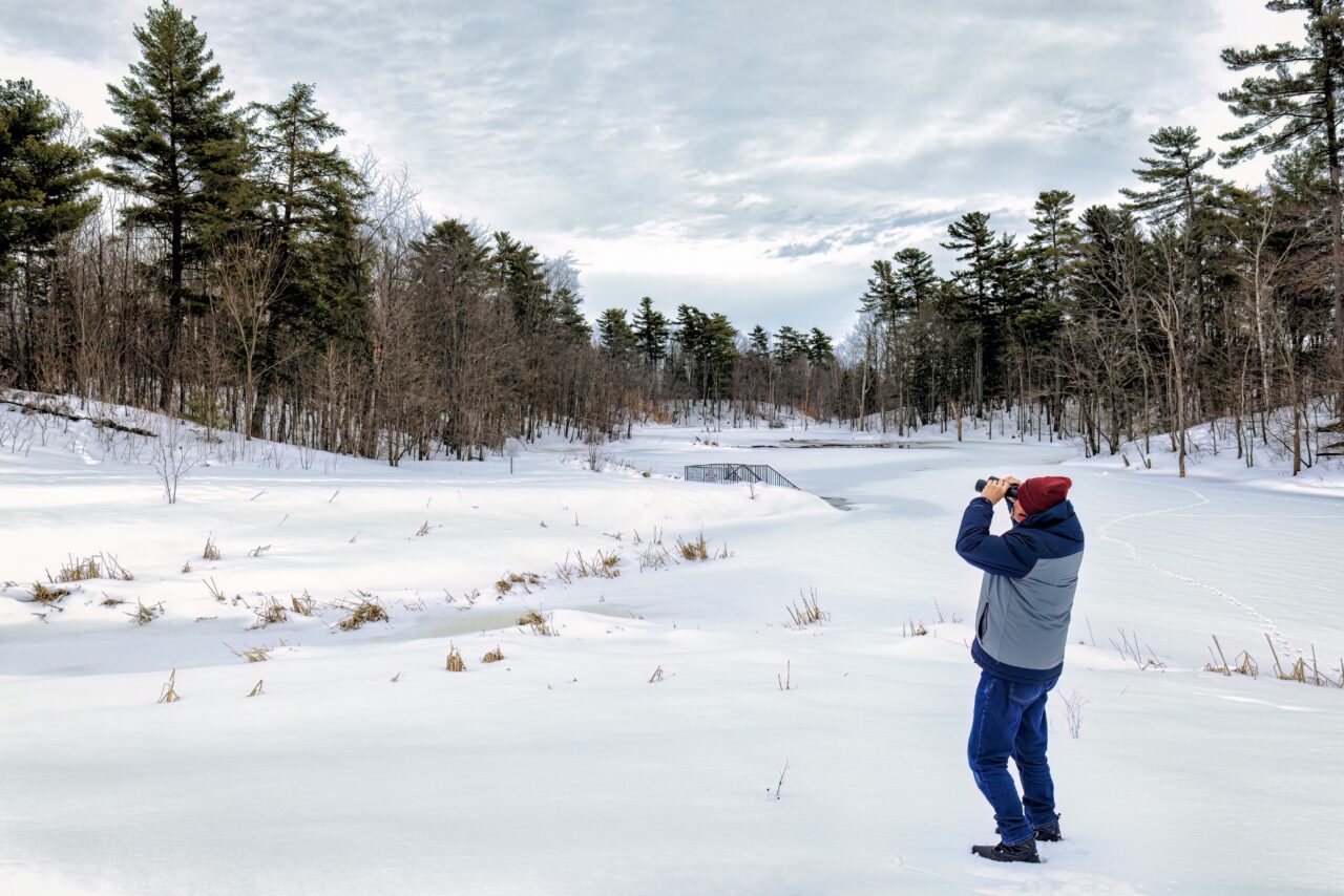 Birding on a cold day in Canada