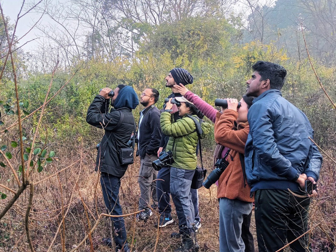 A group of birdwatchers looks through binoculars on a misty day.