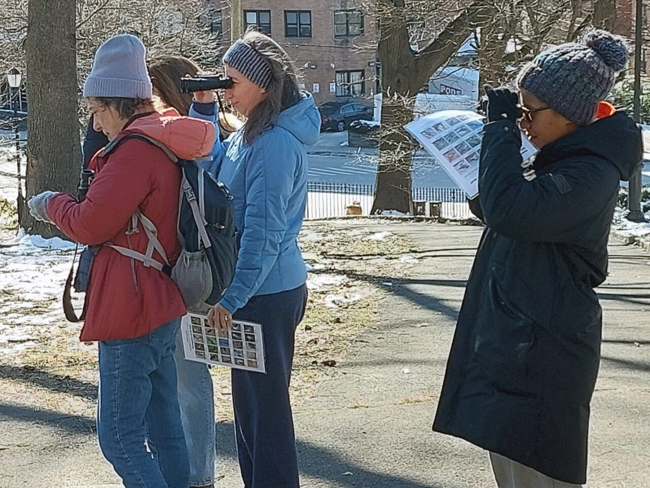 Three birdwatchers look through binoculars in a city park.