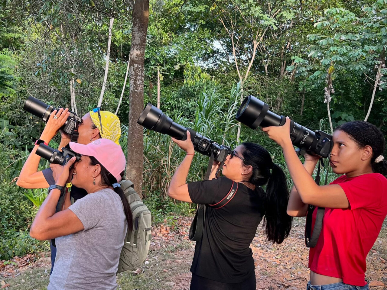 Four people look into the trees through cameras with long telephoto lenses.