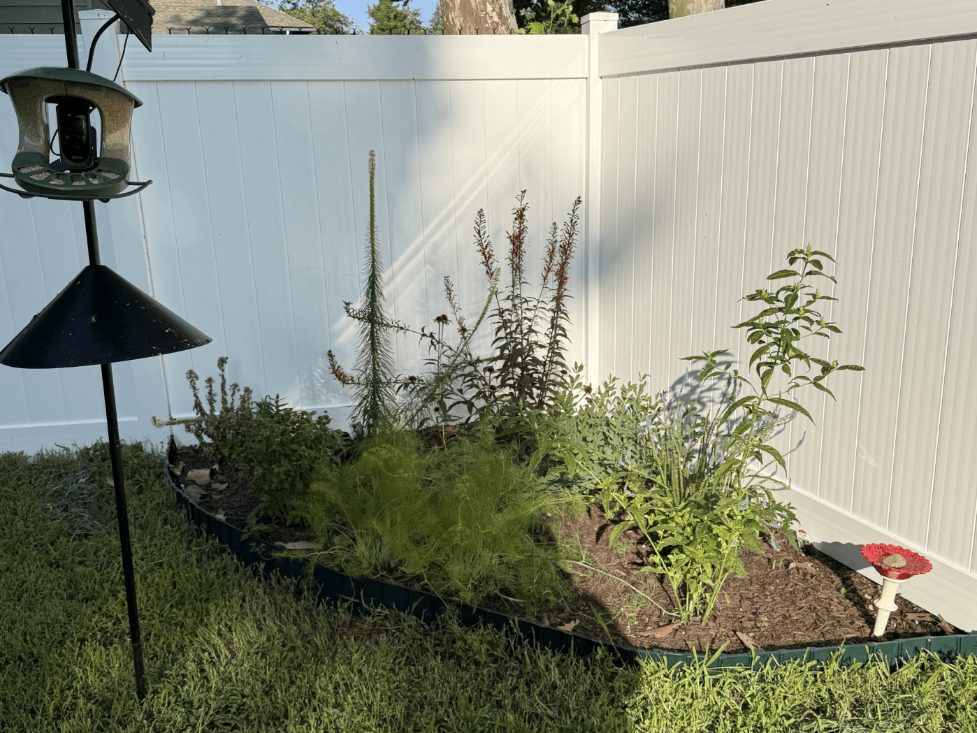 How to Plant a Bird Habitat: Easy Steps for a Thriving Sanctuary