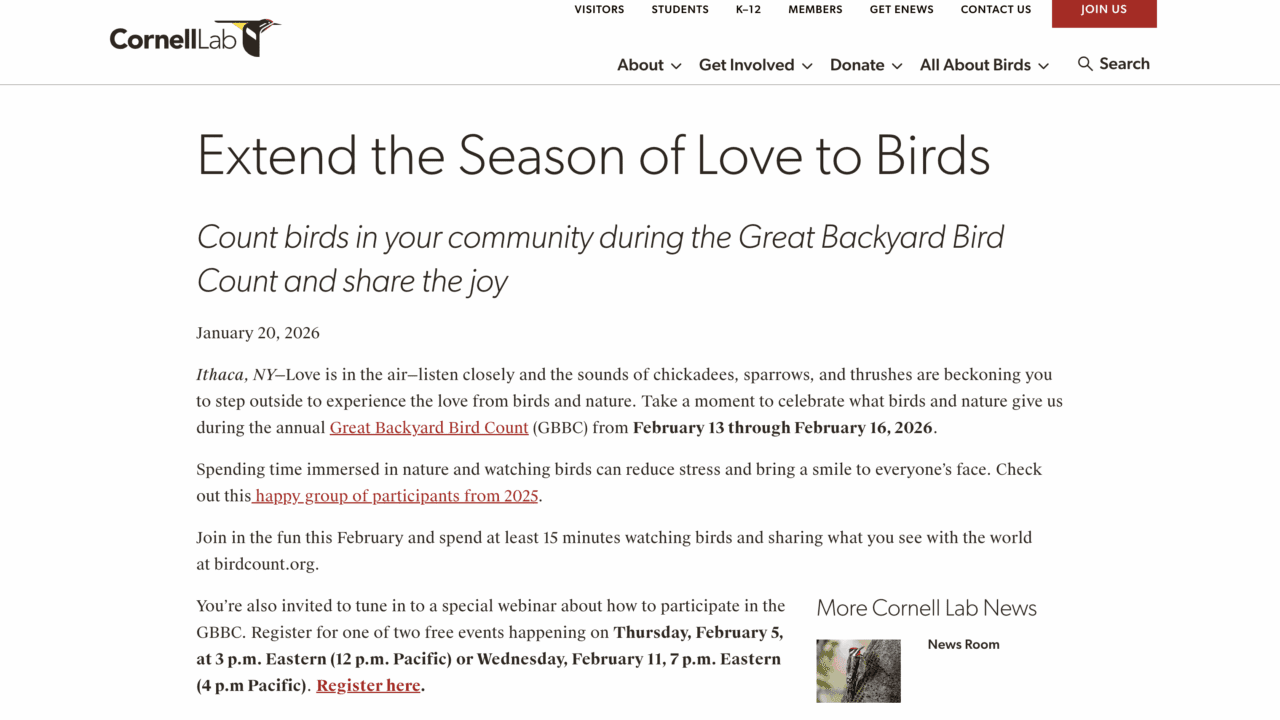 Image of the press release.