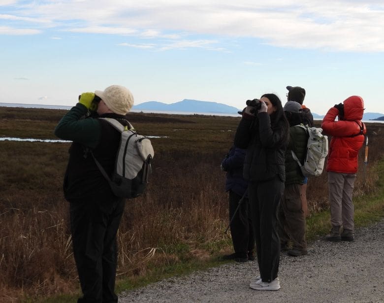A group of people birdwatching with binoculars.