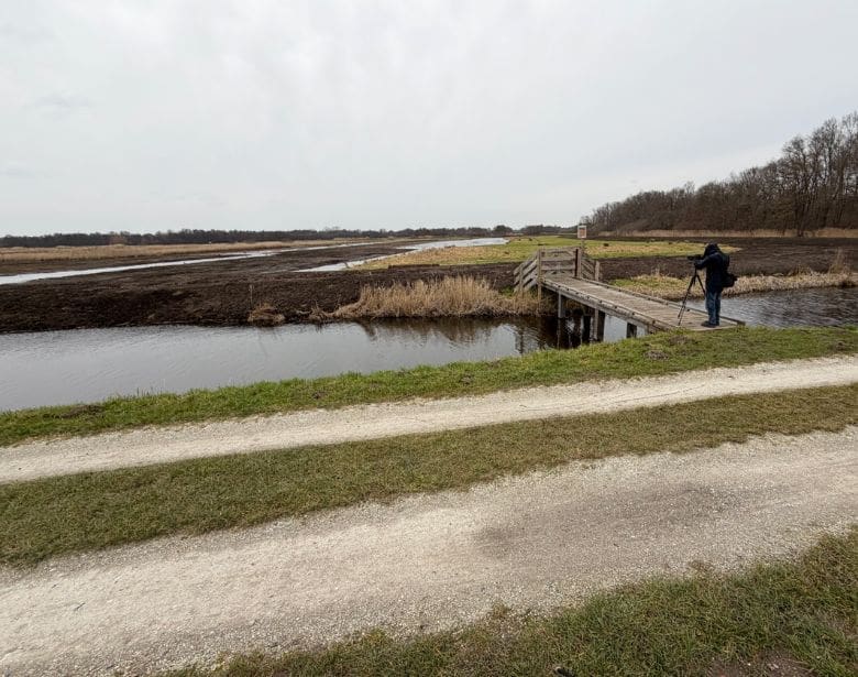 A person birdwatching.