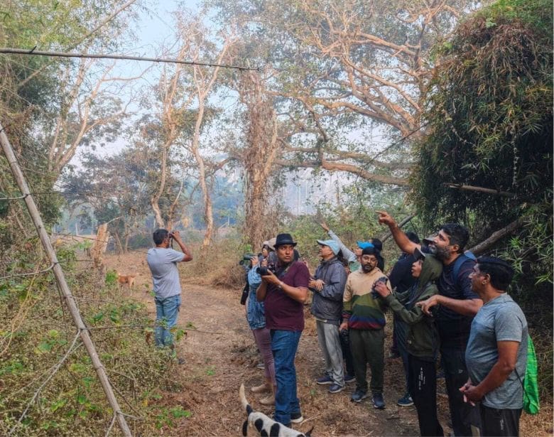 A group of people birdwatching with binoculars.