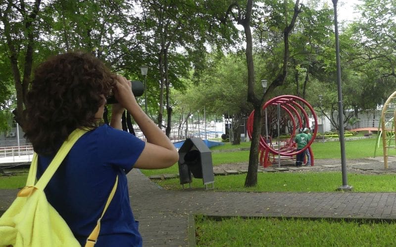 A person birdwatching in a park.