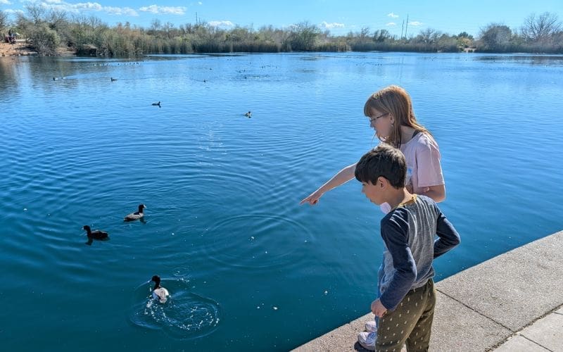 Two children watching ducks swim.
