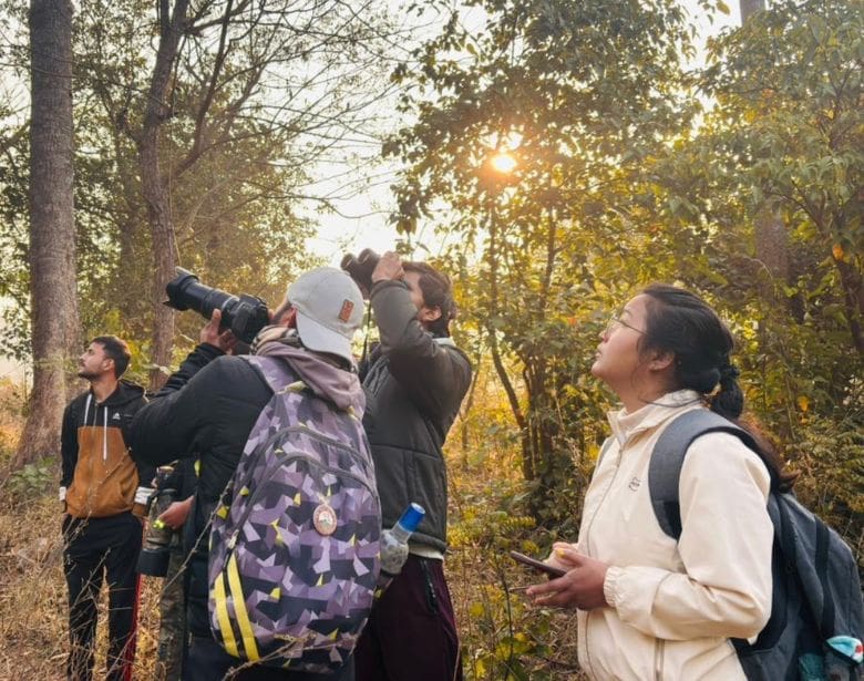 Group of people birdwatching in a forest.