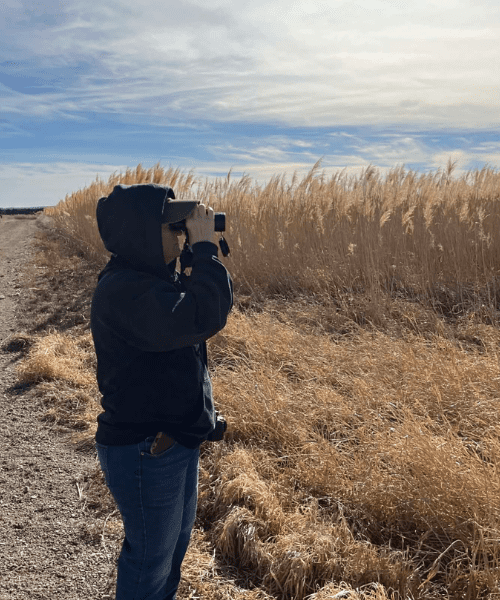 A person birdwatching with binoculars.