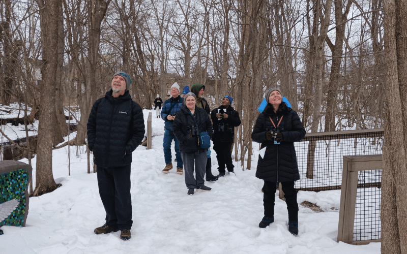 A group of people birdwatching in a snowy wooded area.