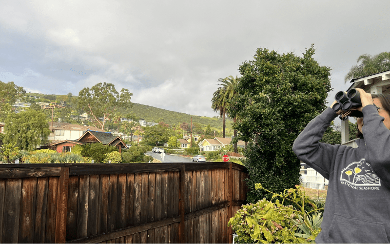 A person birdwatching with binoculars.
