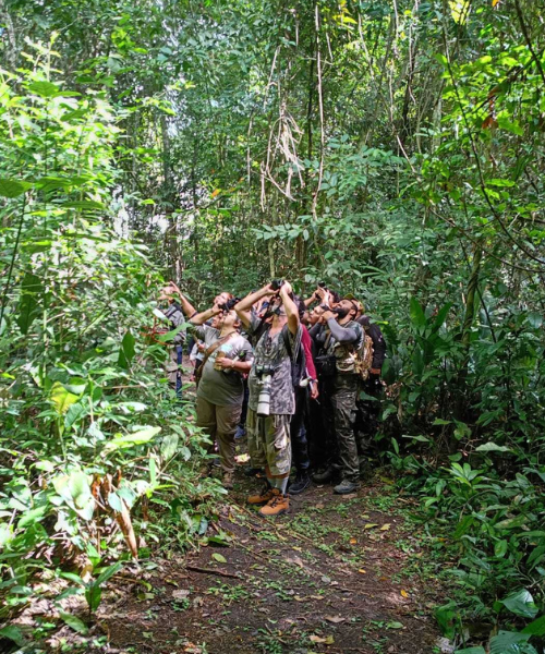 A group of people birdwatching.