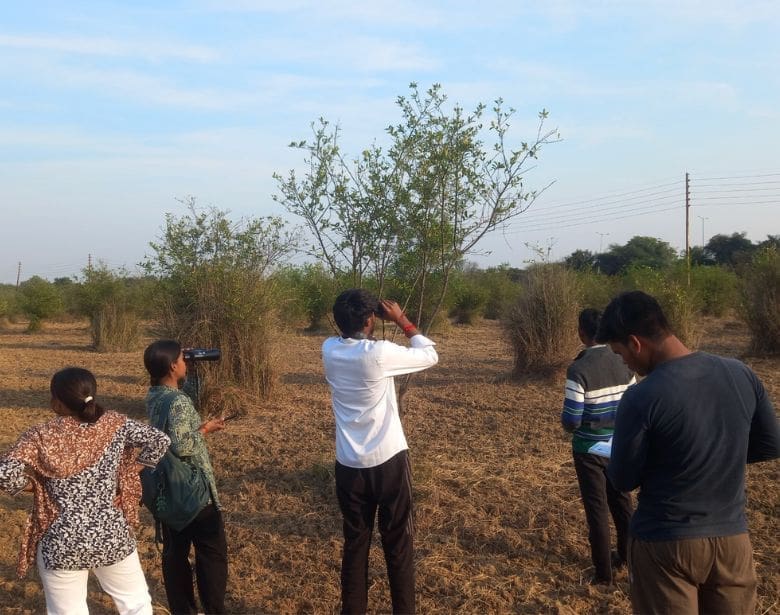 Group of people birdwatching.