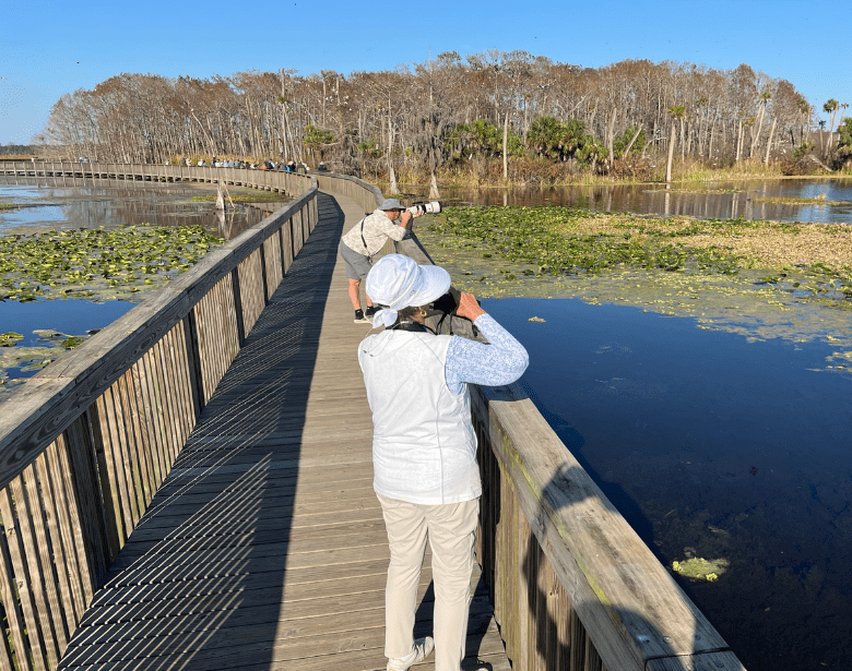 Two people birdwatching while standing on a wooden bridge over a body of water.