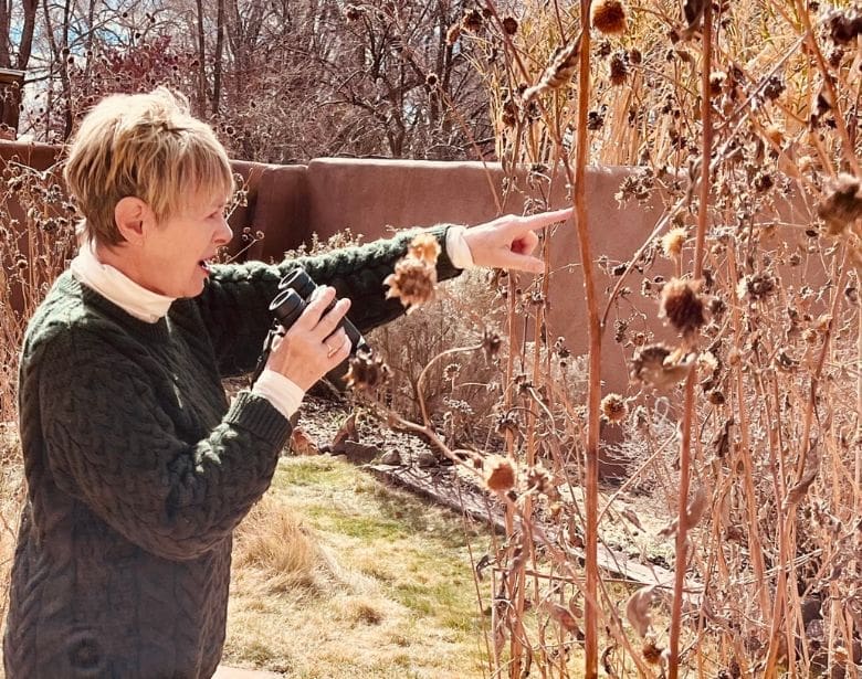 A person birdwatching with binoculars.
