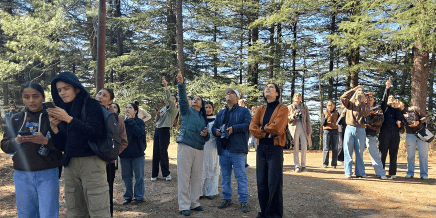 Large group of people birdwatching in a wooded area.
