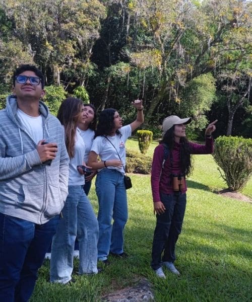 Group of people birdwatching.