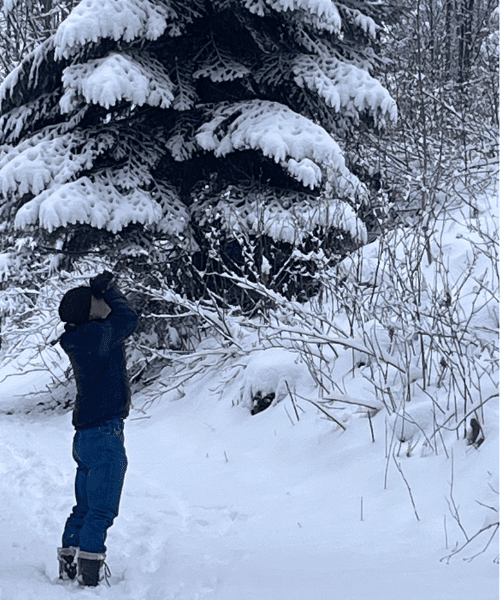 A person birdwatching with binoculars in a snowy environment.