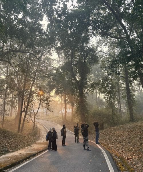A group of people birdwatching.