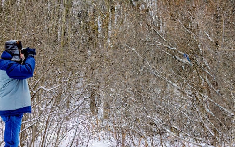 A person using binoculars to birdwatch.