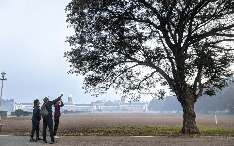 Three people birdwatching outside.