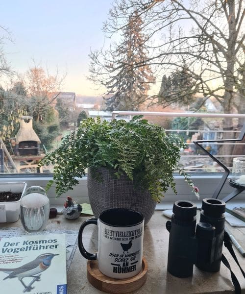 A plant, book about birds, mug, and binoculars on a table.