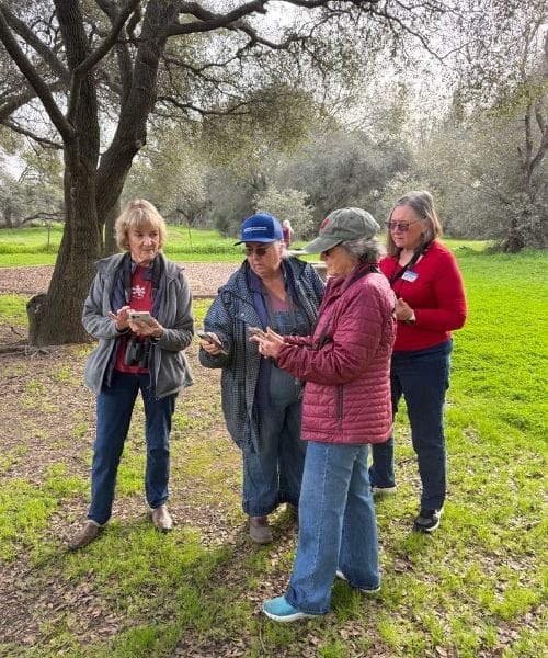 A group of four people birding.