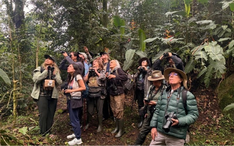 A group of people birdwatching with binoculars.