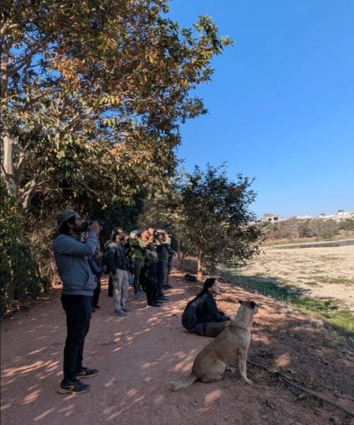 Group of people birdwatching.