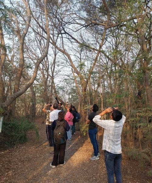 A group of people birdwatching in a forest.
