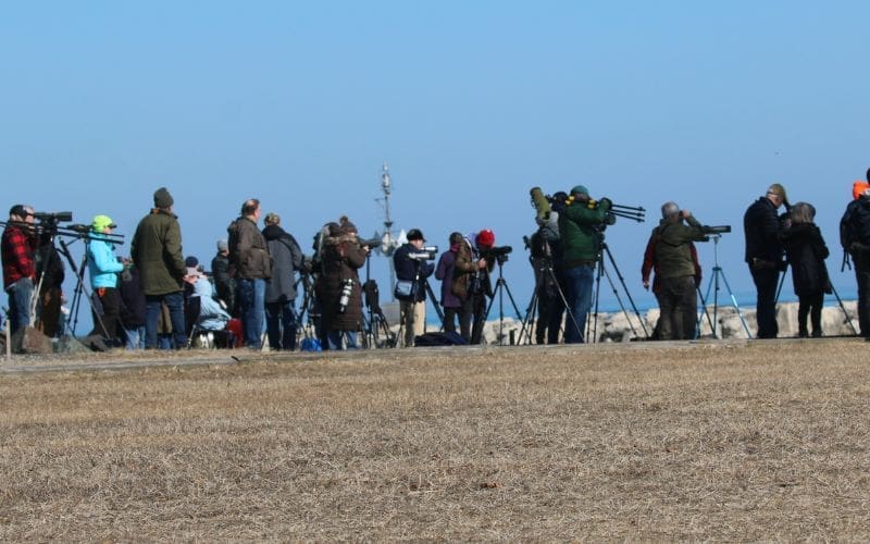A large group of people birdwatching together.