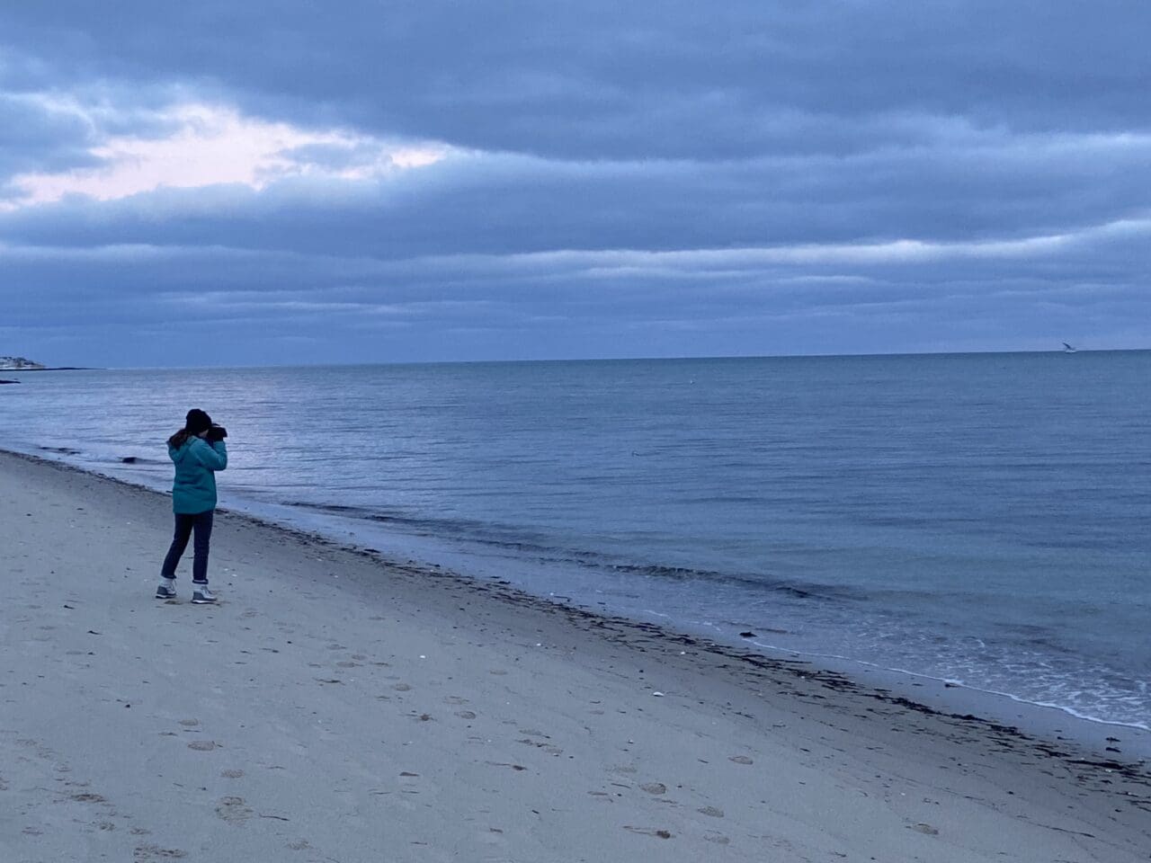 person birding on beach